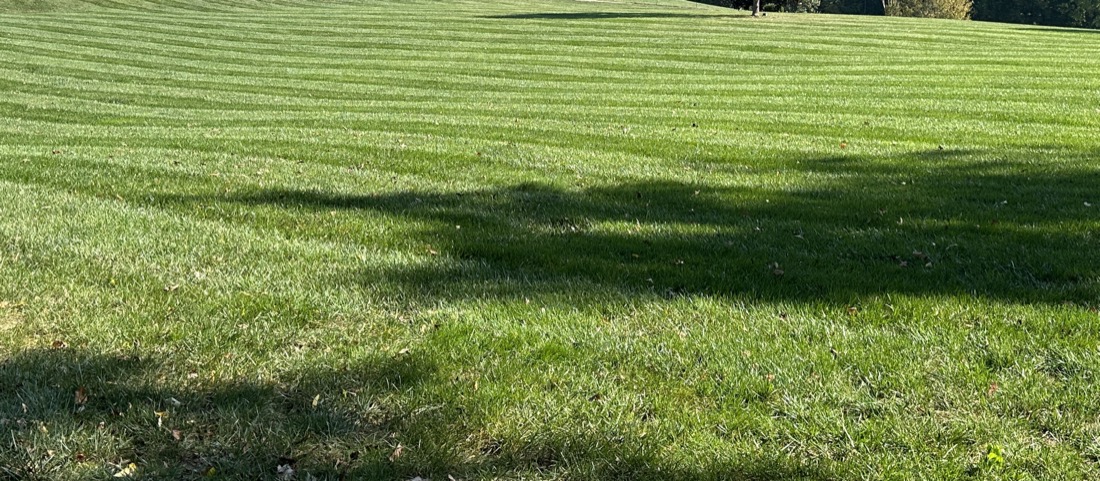 Lush striped green lawn treated by Phenomelawn