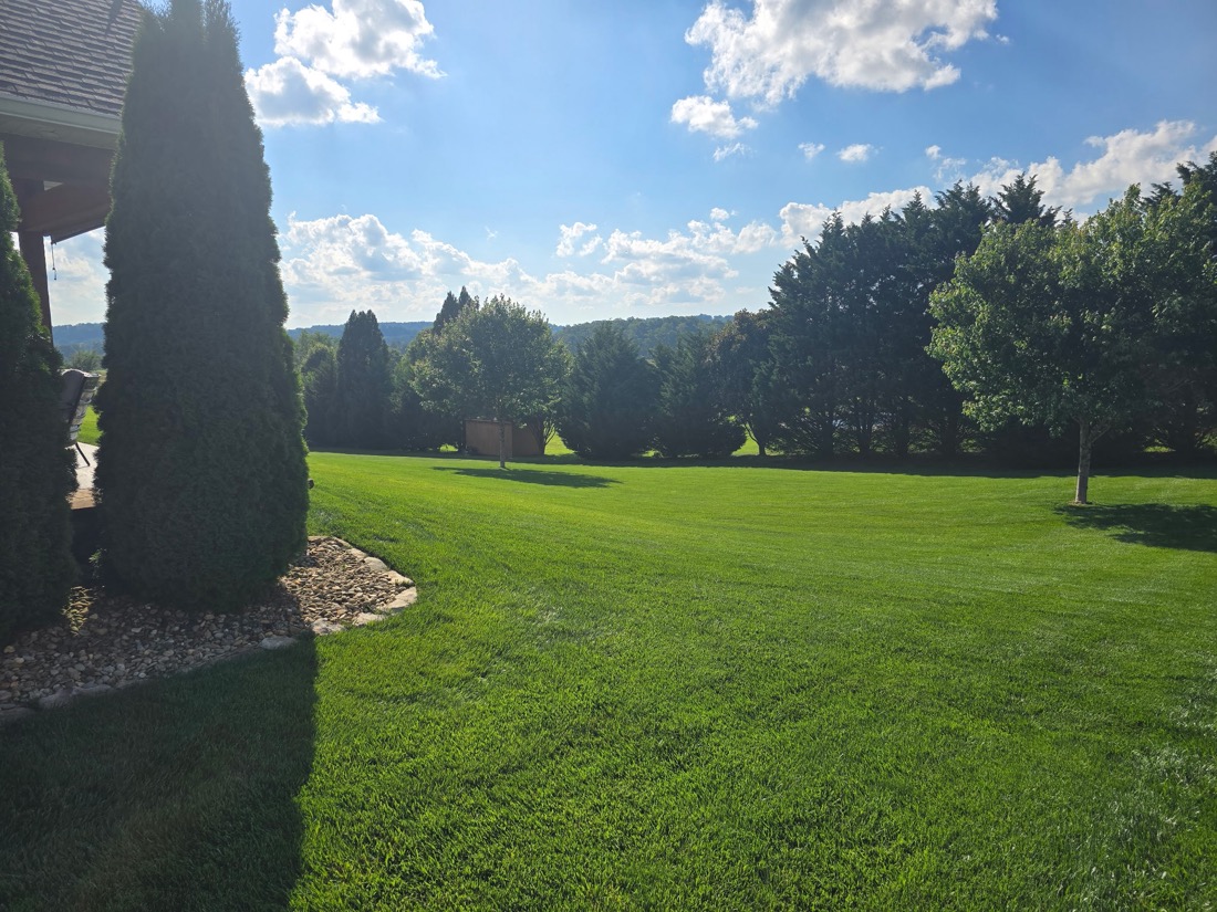 Healthy backyard lawn treated in the Tri-Cities
