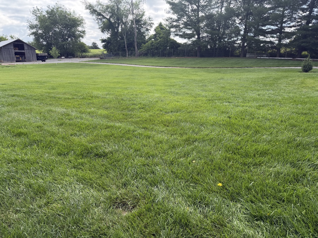 Green Tri-Cities lawn with a barn in the background